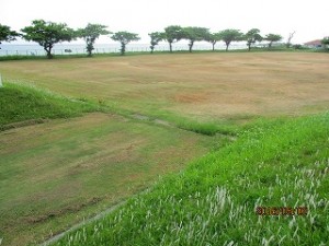 IMG_0646