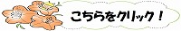 5譛遺造