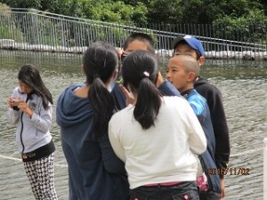 img_2660
