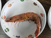 IMG_8081